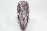 Polished Amethyst Dinosaur Crystal Skull - Ferocious! #199466-3